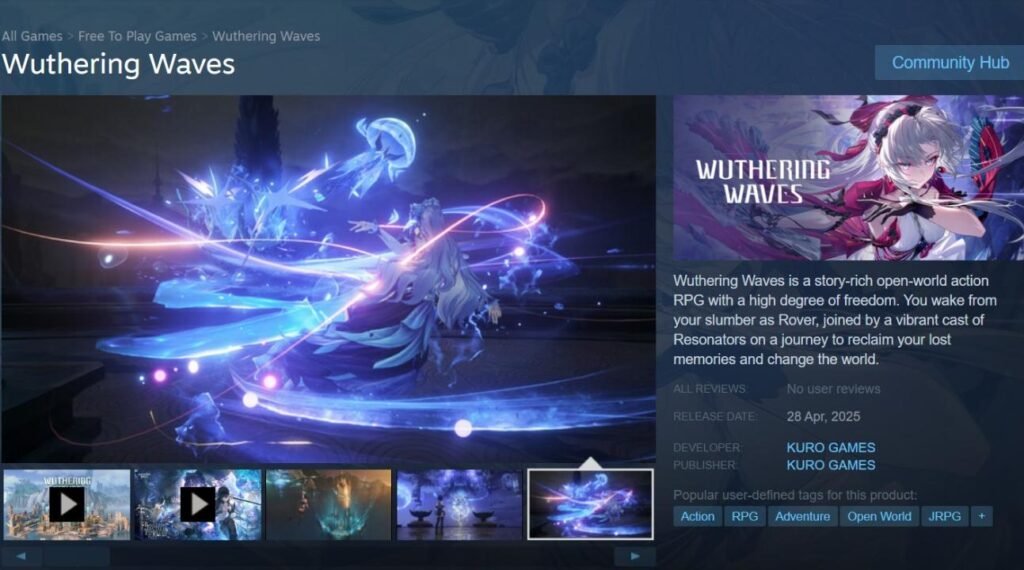 wuthering waves steam2 - KoKang Gaming