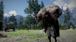 crimson desert now have difficulty options