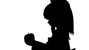 most of the touhou project fans are teenagers